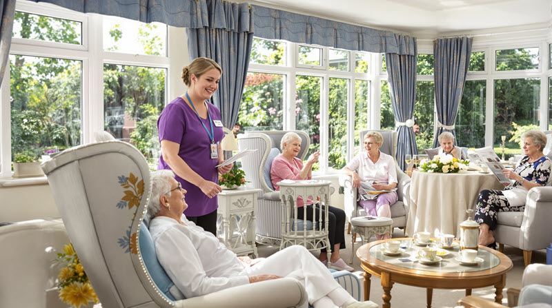 Highfields Conservatory AI image-800px